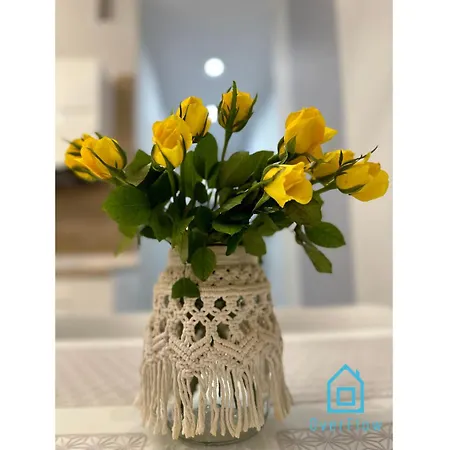 Nowy Anchor 公寓 *