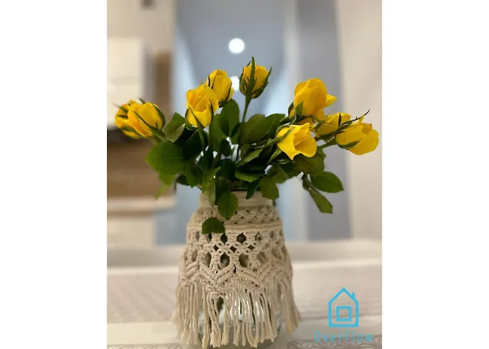 Nowy Anchor Apartamento *